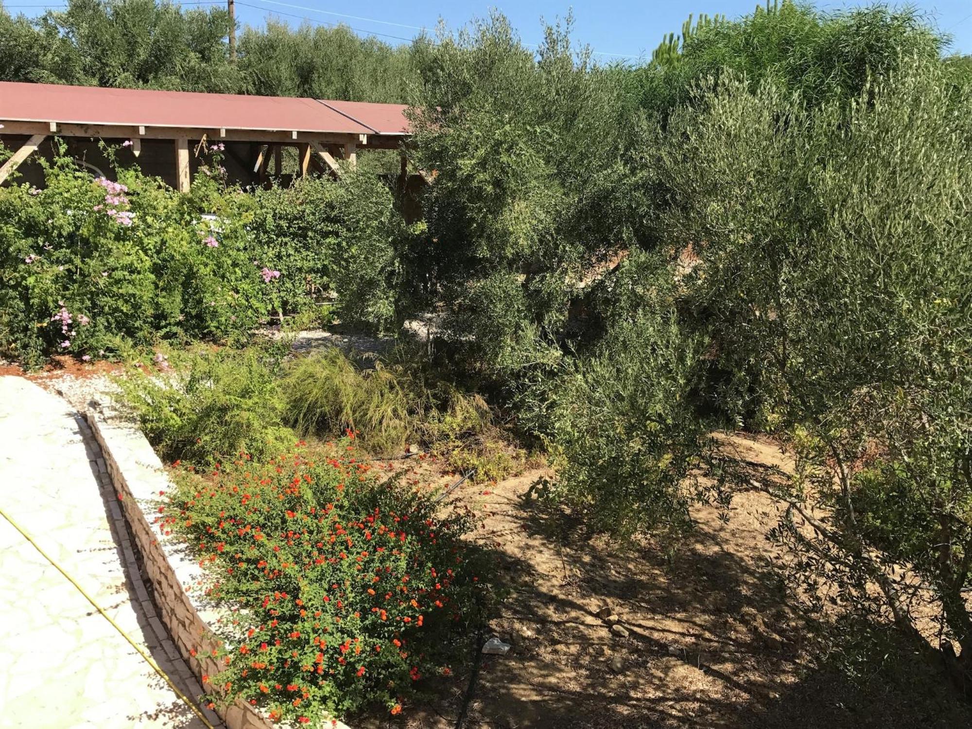 Luxurious Villa In Peloponnese With Swimming Pool Kamaria  Ngoại thất bức ảnh